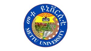 Metu-University-300x170